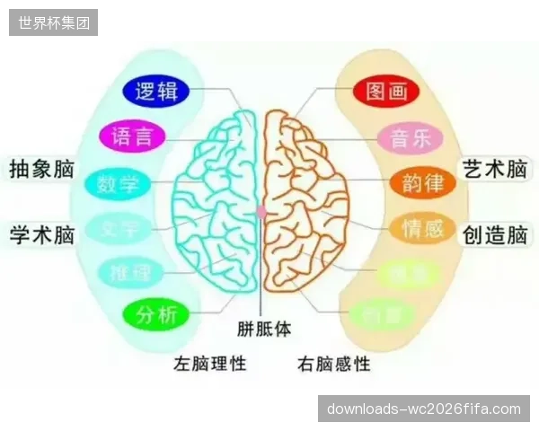 视觉感知编码算法有效接驳高帧率赛事的宽带瓶颈